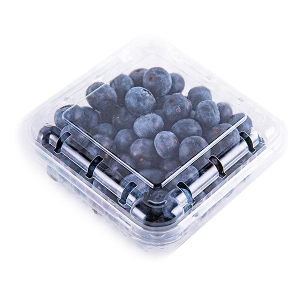 Blueberry